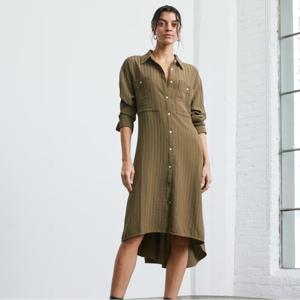 Everlane City Stripe Shirt Dress in Breech